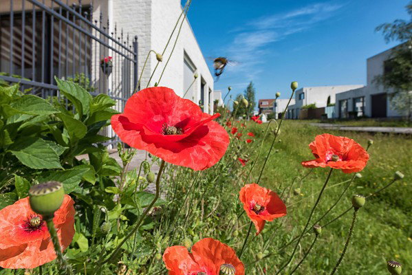 woonbeleving ziekenhoef berghem eyequote bedrijfsfotografie Oss